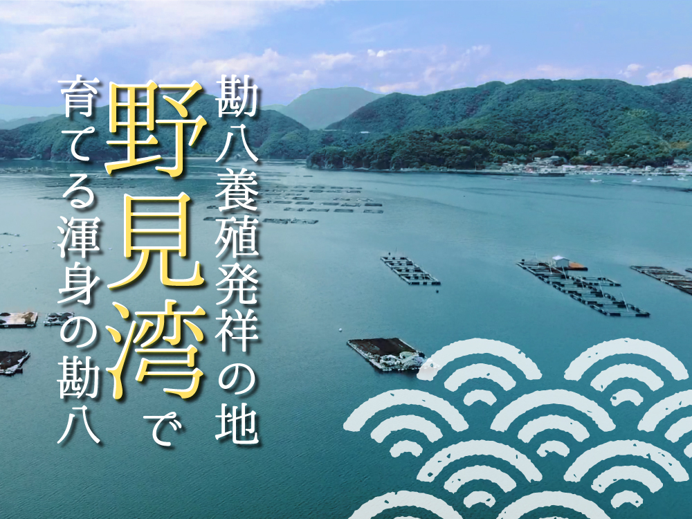 hgEJp`E{芨