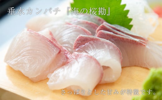 hgEJp`C[W